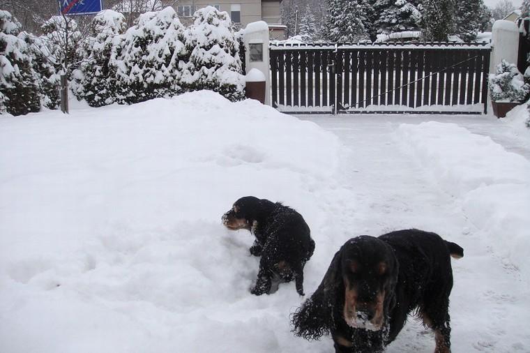 Art_25.1.2010 (16).JPG